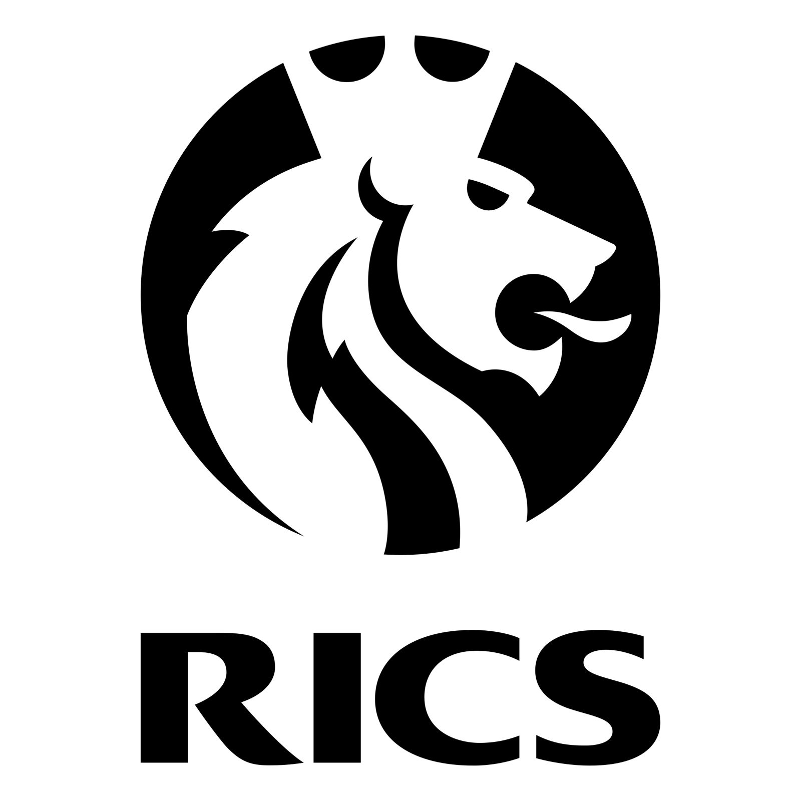 RICS - Royal Institution of Chartered Surveyors